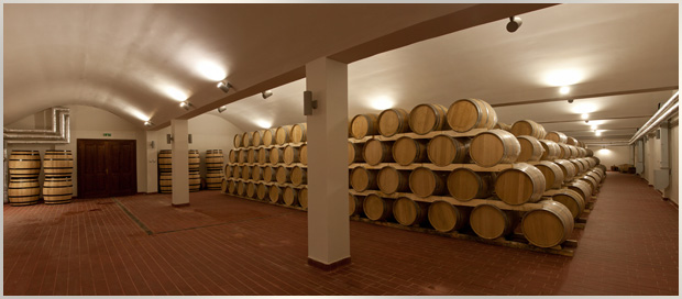 Butoi de lemn pentru vin